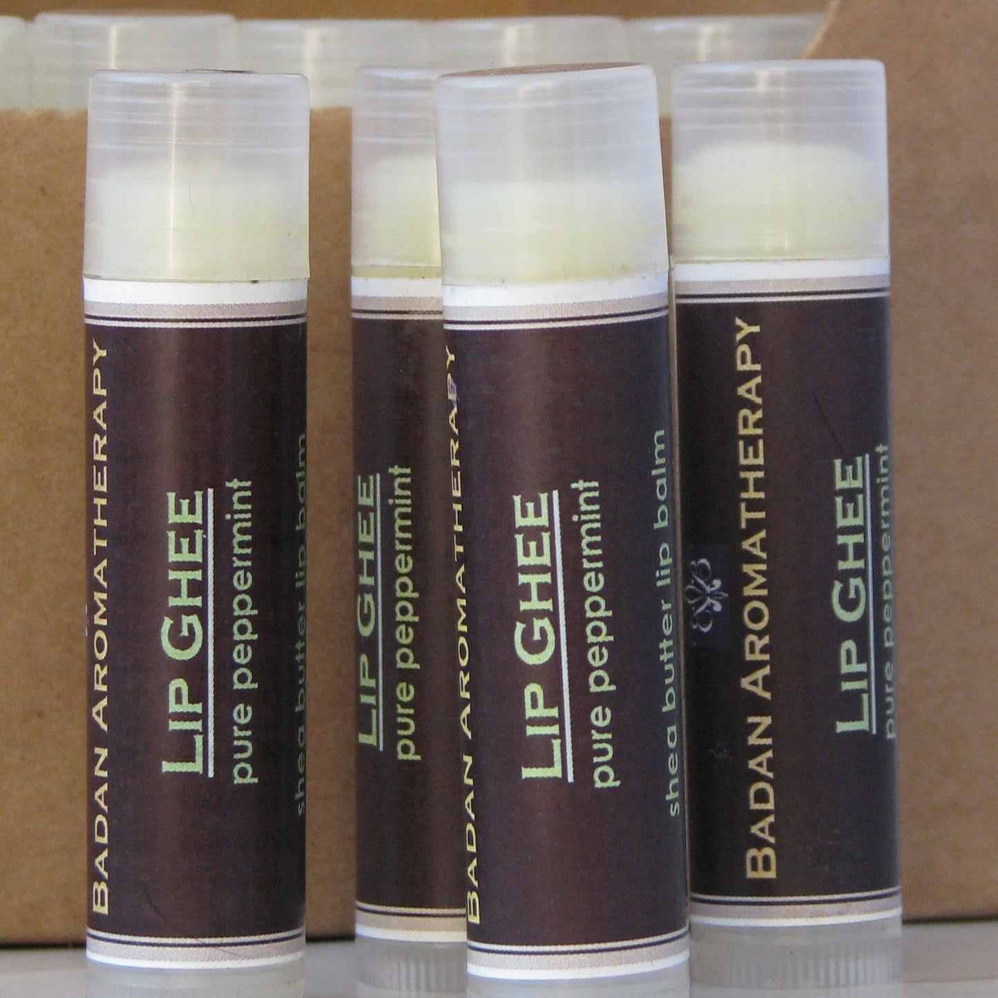 Peppermint Lip Ghee - BadanBody