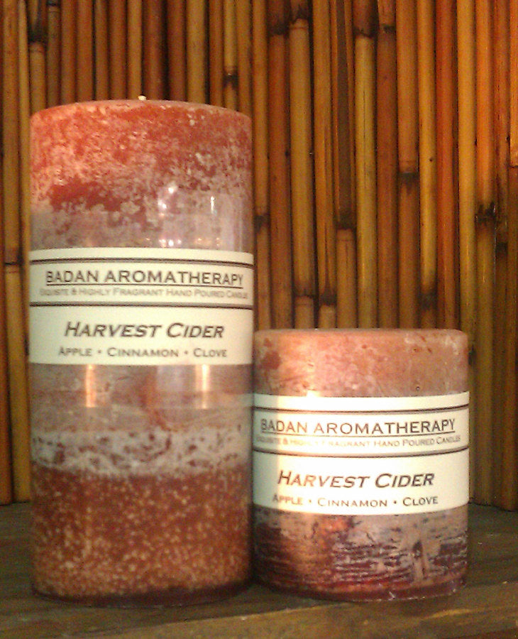 Apple Cinnamon & Clove Handmade Pillar Candle 3x3.5 - BadanBody