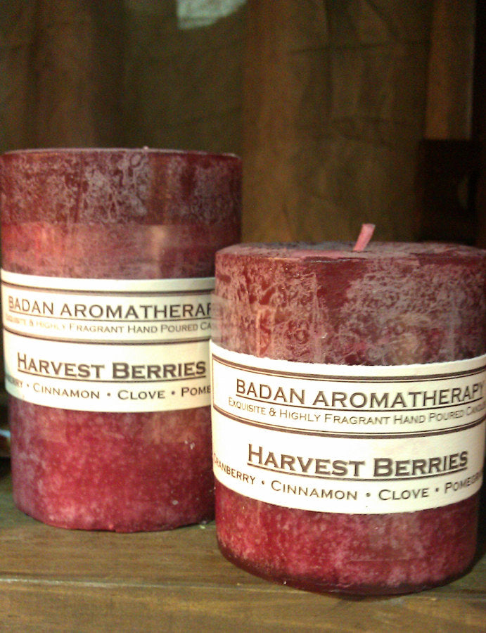 Candle: Fragrant Dark Red Cranberry Pomegranate Cinnamon & Clove Pillar Candle 3x3.5 - BadanBody